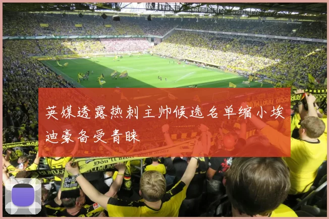 英媒透露热刺主帅候选名单缩小埃迪豪备受青睐